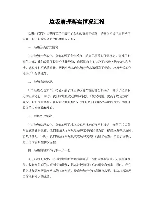 垃圾清理落实情况汇报