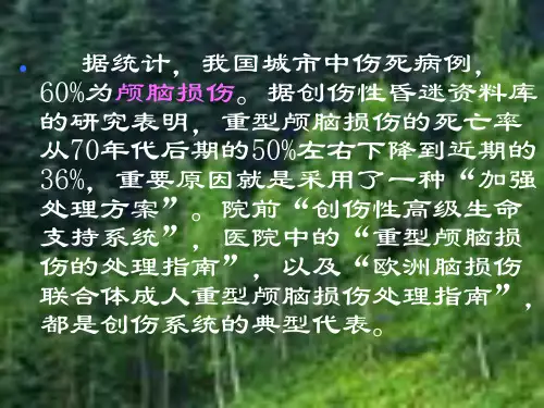 最新创伤性颅脑损伤诊治-PPT文档