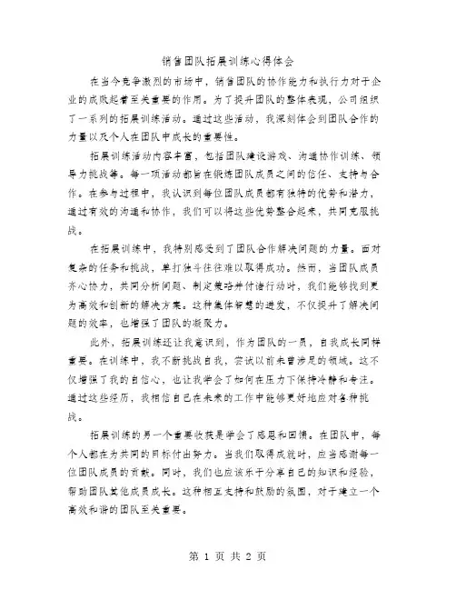 销售团队拓展训练心得体会范文