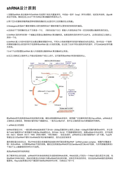 shRNA设计原则