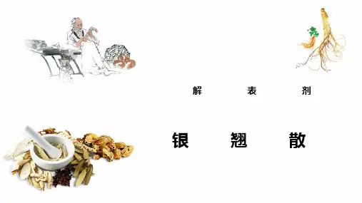 解表剂—银翘散(方剂学课件)