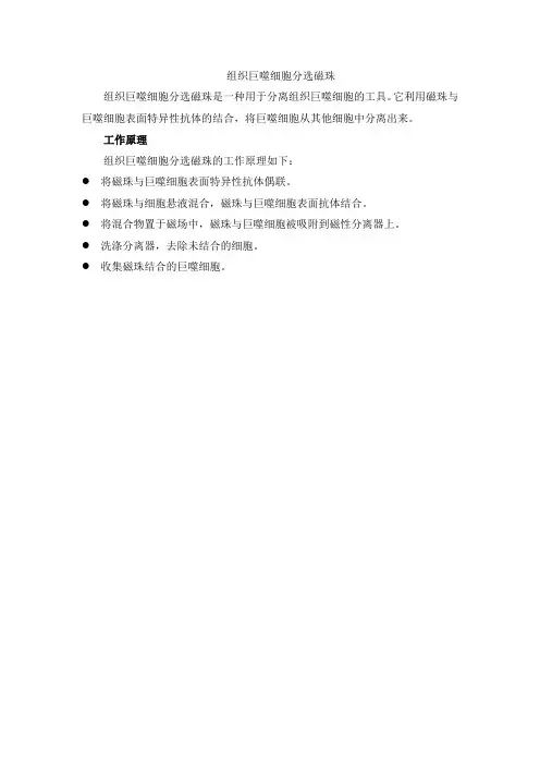组织巨噬细胞分选 磁珠