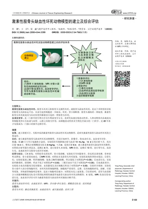 激素性股骨头缺血性坏死动物模型的建立及综合评估