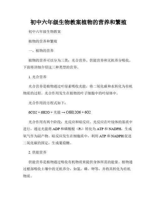 初中六年级生物教案植物的营养和繁殖