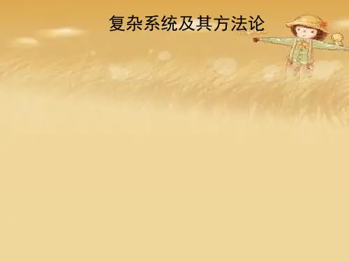 复杂系统及其方法论