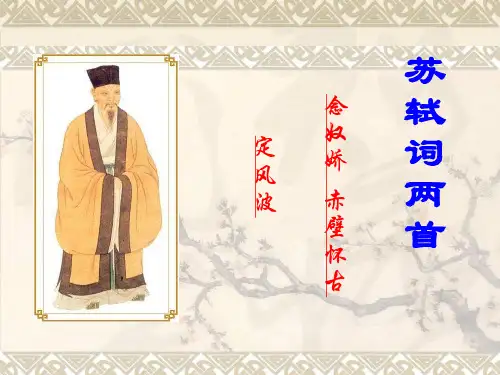 《苏轼词两首》优秀课件