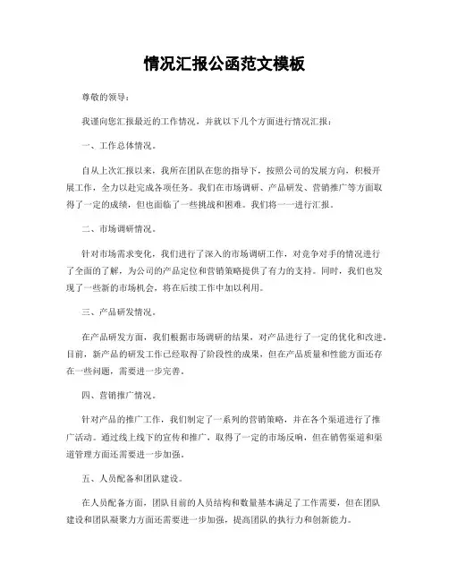 情况汇报公函范文模板
