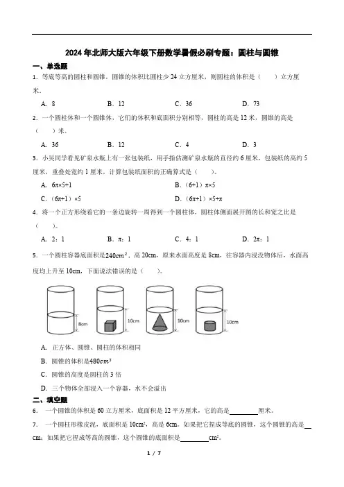 2024年北师大版六年级下册数学暑假必刷专题：圆柱与圆锥
