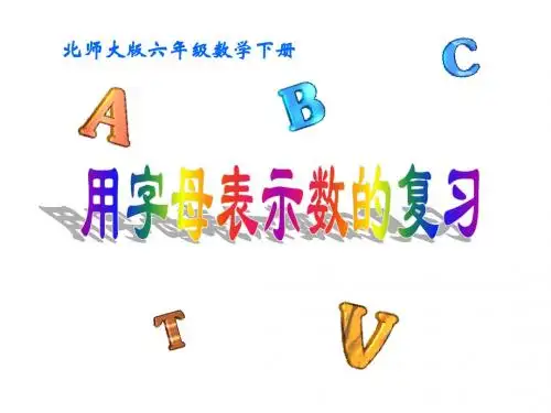 总复习数与代数《用字母表示数的复习》PPT课件