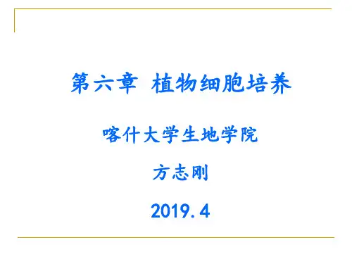 第六章植物细胞培养