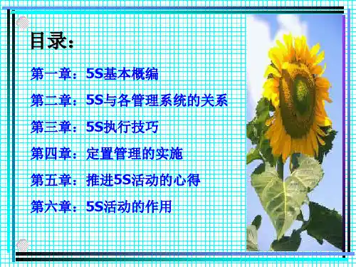 精选5S执行技巧作用与心得ppt69页