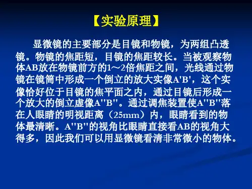 染色体核仁组织区染色体带型标本的观察