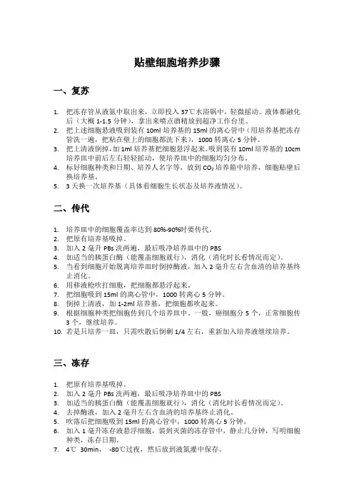 贴壁细胞培养步骤及注意事项