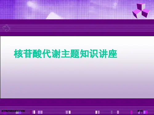 核苷酸代谢主题知识讲座