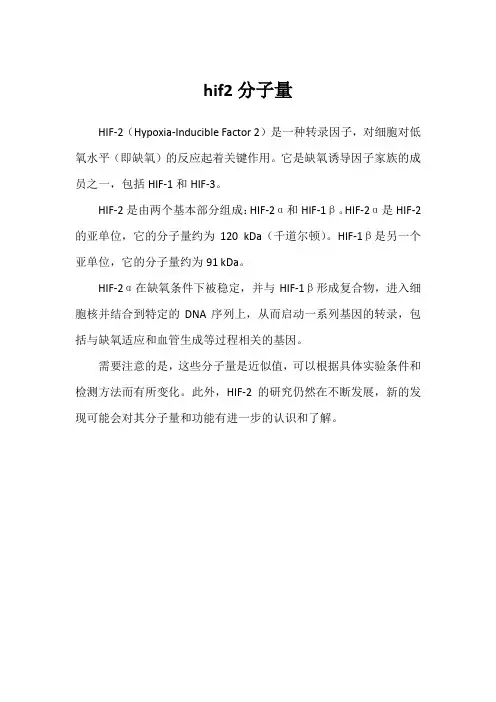 hif2分子量