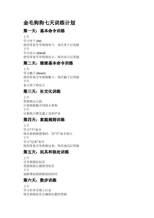 金毛宠物7天训练计划