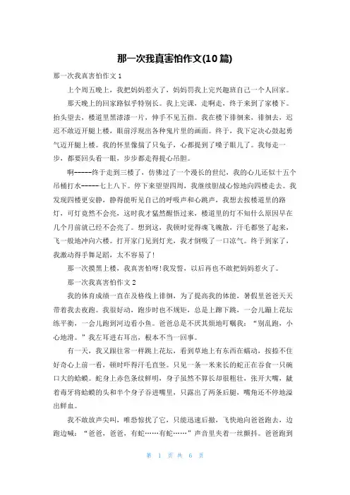 那一次我真害怕作文(10篇)