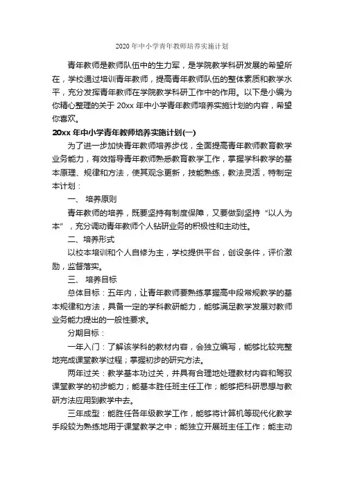 2020年中小学青年教师培养实施计划_教师工作计划_