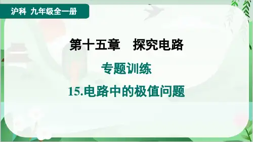 2024年沪科版九年级物理专题训练15.电路中的极值问题
