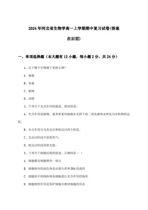 河北省生物学高一上学期期中试卷及答案指导(2024年)