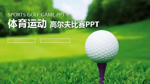 高尔夫球运动