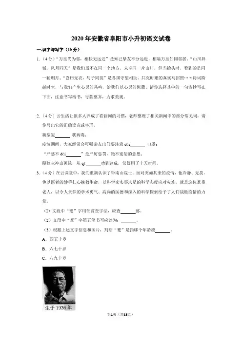 2020年安徽省阜阳市小升初语文试卷(原卷 解析版)  部编版