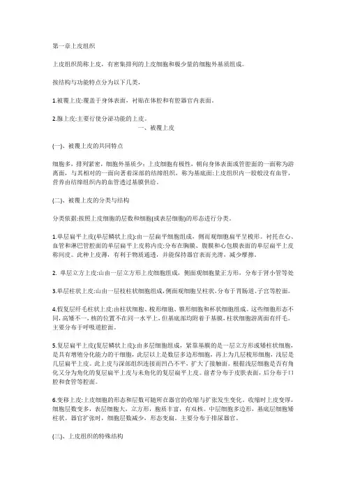上皮组织复习资料