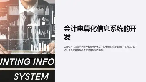 会计电算化信息系统的开发