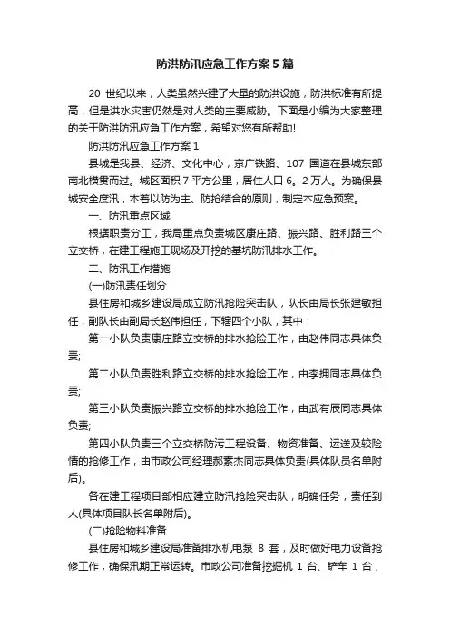 防洪防汛应急工作方案5篇