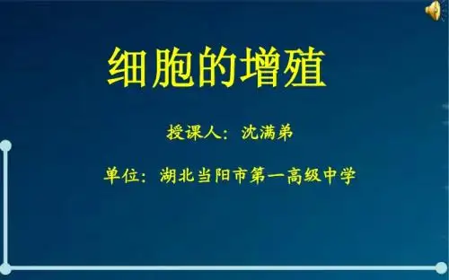 高中生物必修一 细胞增殖