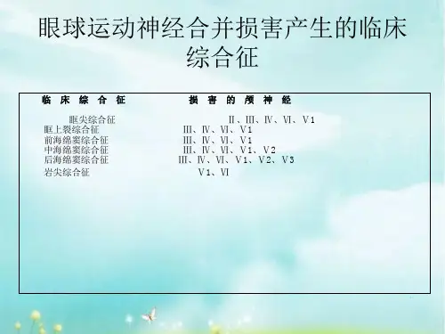 颅神经的解剖和临床下