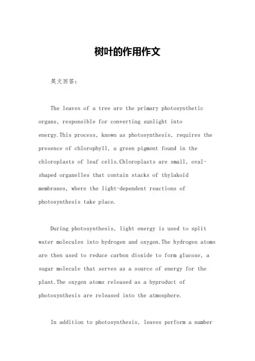 技术员职称评定材料