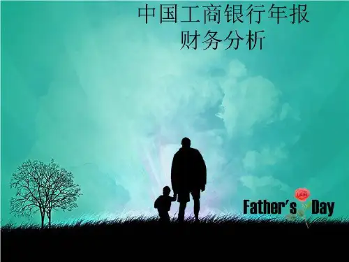 中国工商银行年报财务分析-PPT课件