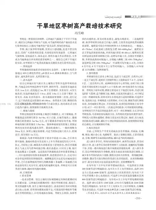 干旱地区枣树高产栽培技术研究