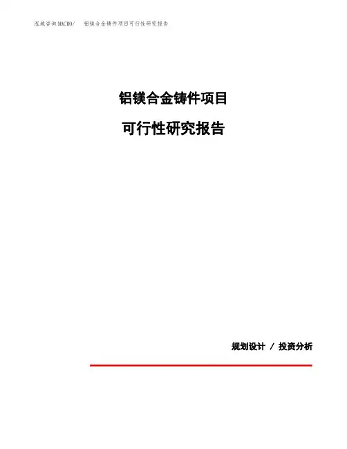 铝镁合金铸件项目可行性研究报告(规划设计模板)