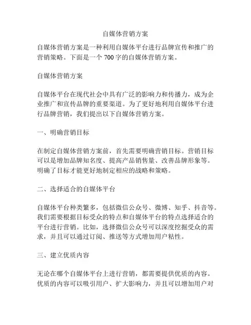 自媒体营销方案