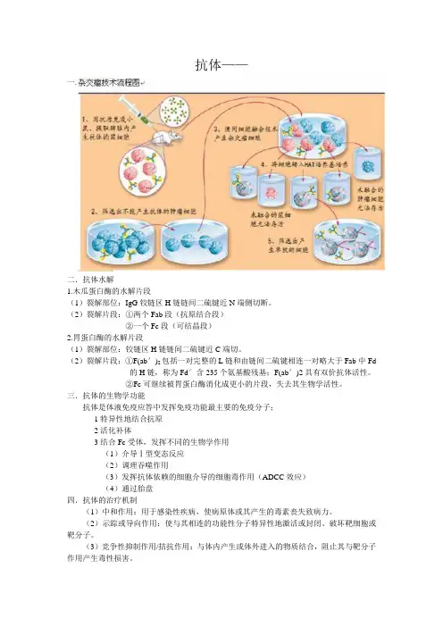 【中国药科大学】抗体·糖组学