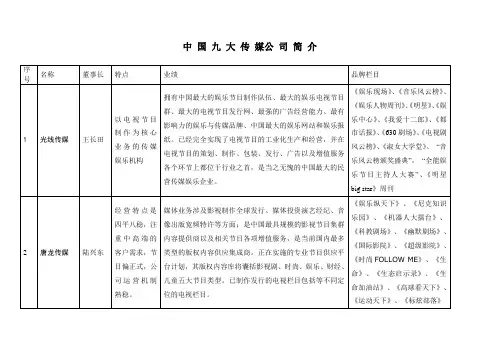 中国九大传媒公司简介