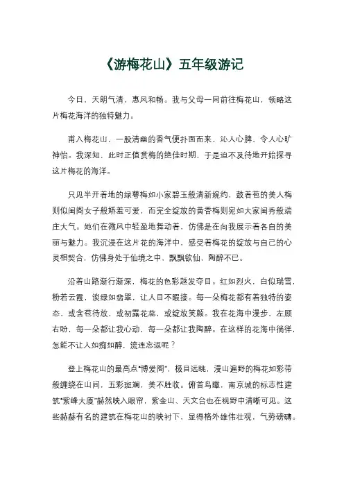 《游梅花山》五年级游记