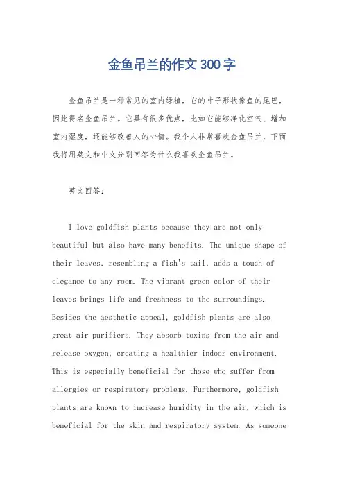 金鱼吊兰的作文300字