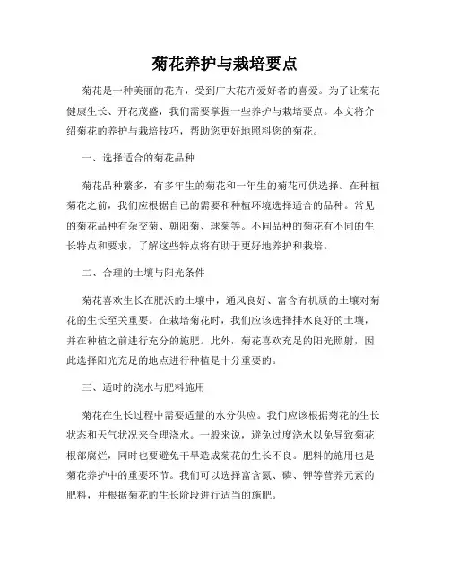 菊花养护与栽培要点