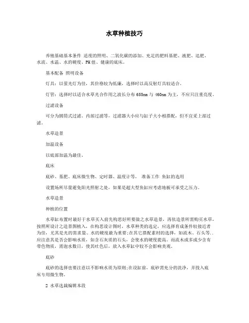 水草种植技巧