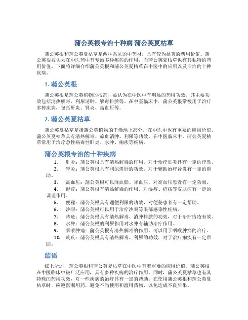 蒲公英根专治十种病蒲公英夏枯草