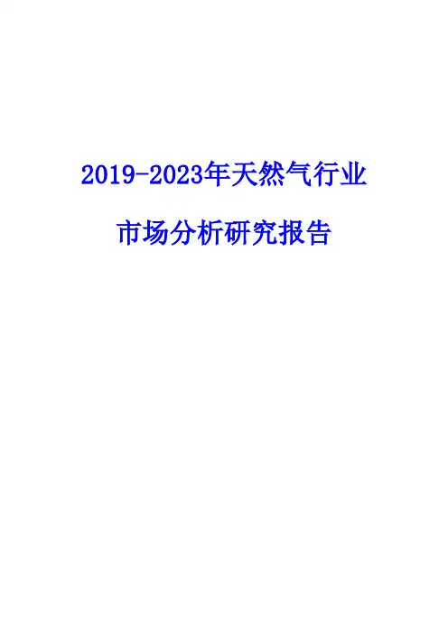 2019-2023年天然气行业市场分析研究报告