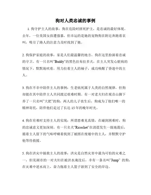 狗对人类忠诚的事例