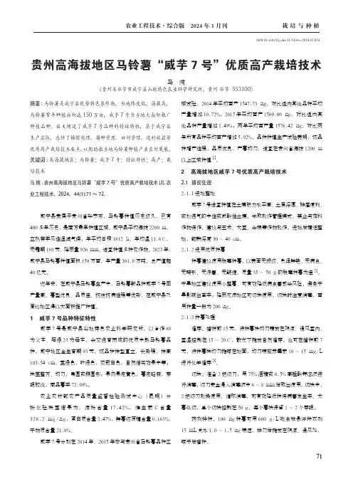 贵州高海拔地区马铃薯“威芋7号”优质高产栽培技术
