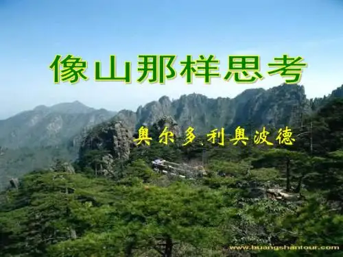 《像山那样思考》课件1