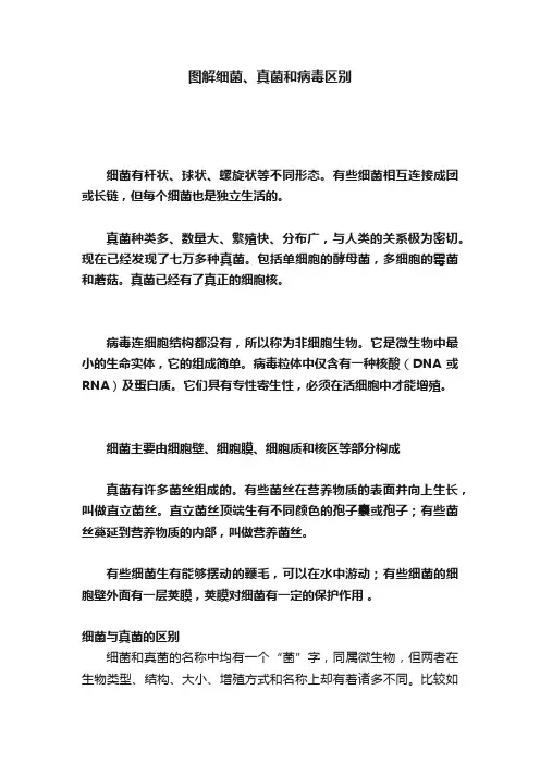 图解细菌、真菌和病毒区别