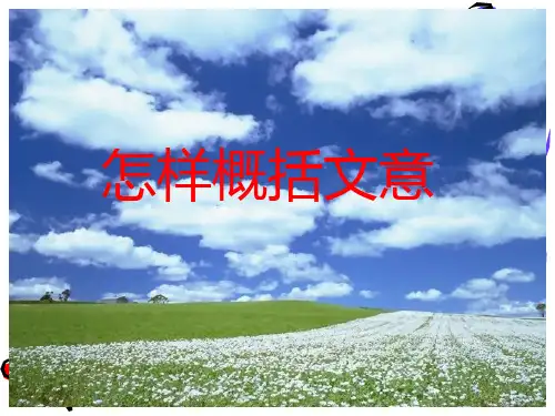 怎样概括文意
