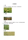 作物栽培学(谷子的栽培技术)